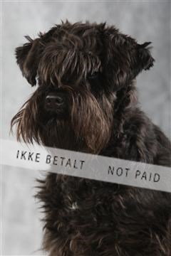 129608_le_ 02_0214.JPG