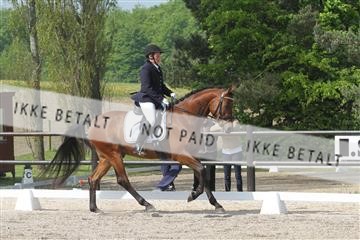135086_sg_01_IMG_0069.JPG