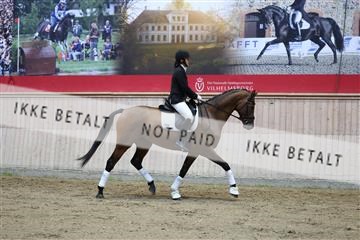 181887_mtp_02_R62_7699.JPG