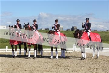 148862_sg_02_IMG_4312.JPG