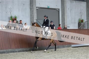 181852_mtp_05_R62_3435.JPG