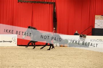 178838_mtp_04_0E6A5059.JPG