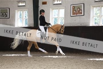179104_avh_02_3456.JPG