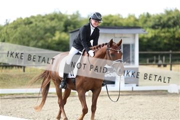 181894_mtp_05_R62_4718.JPG