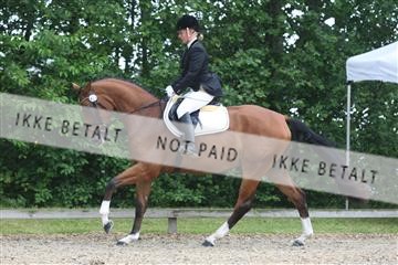 135518_ms_01_IMG_0897.JPG