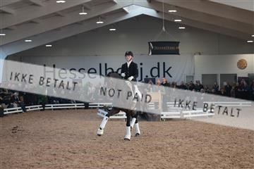 179022_kbb_01_R6II3115.JPG