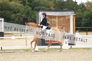 181894_mtp_03_R62_2420.JPG