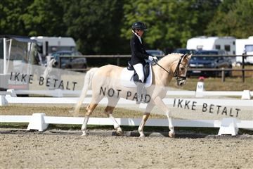 181894_mtp_05_R62_4603.JPG