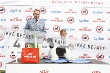 181848_kar_01__62_0802.JPG