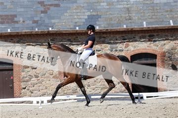 174742_bc_01_R62_2192.JPG