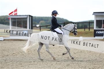 181894_mtp_05_R62_4402.JPG