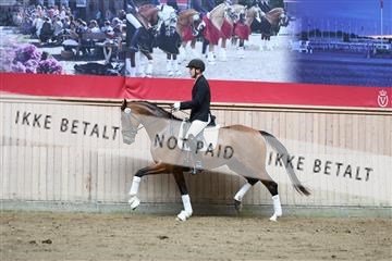 181887_mtp_02_R62_7612.JPG