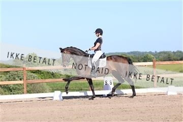 181449_bc_01R62_6287.JPG