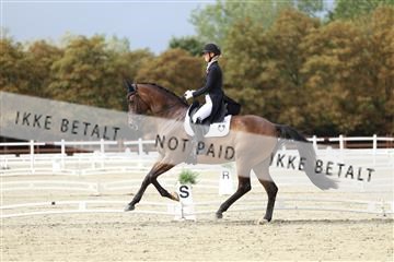 181923_mtp_03_R62_7504.JPG