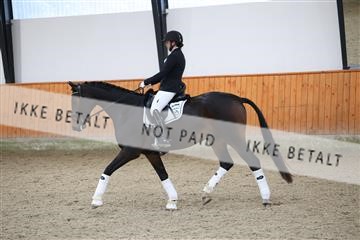175681_avh_01_R62_0799.JPG