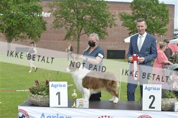 168981_bkn_01__MHR0217.JPG