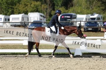 181894_mtp_05_R62_4773.JPG
