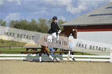 136195_abo_01__AB16579.JPG