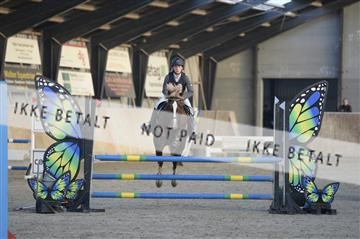 153176_ms_01_MS15802.JPG