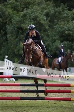 152528_nn_01_IMG_3474.JPG