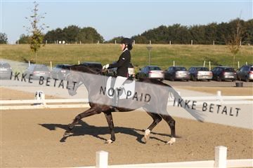 148862_sg_01_IMG_2404.JPG