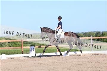181449_bc_01R62_6250.JPG