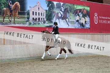 181887_mtp_02_R62_7829.JPG