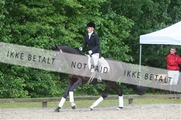 135518_ms_01_IMG_1328.JPG