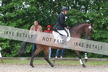 135518_ms_01_IMG_1347.JPG