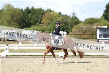 181894_mtp_05_R62_4521.JPG