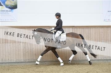 160111_nn_01__ESK1555.JPG