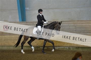 144288_abo_01__AB22134.JPG