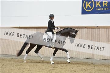 160111_nn_01__ESK2024.JPG