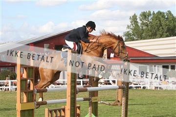 5925_ma_04_IMG_0499.JPG