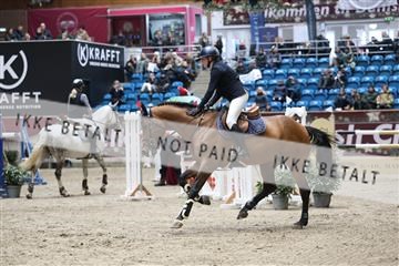 175934_avh_01_6497.JPG