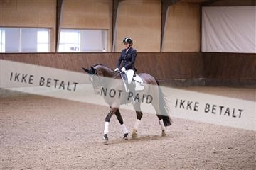173821_mtp_01_3M5A8336.JPG