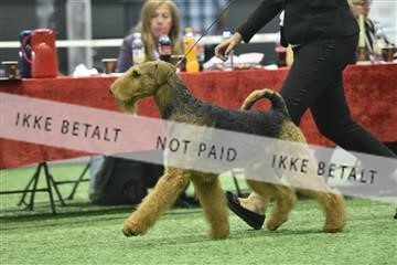 163793_bkn_01__BKN8964.JPG