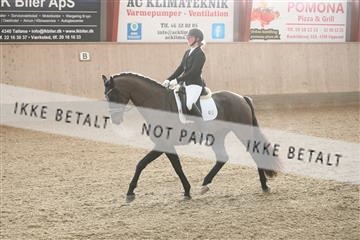 173782_mtp_01_3M5A6976.JPG