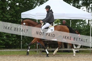 135518_ms_01_IMG_0916.JPG