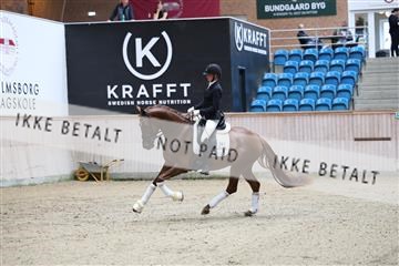 181887_mtp_04_R62_8365.JPG