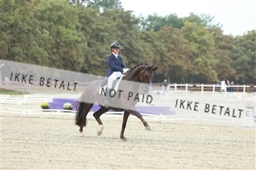 181923_mtp_04_R62_8305.JPG