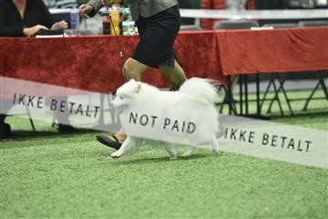163793_bkn_01__BKN9263.JPG
