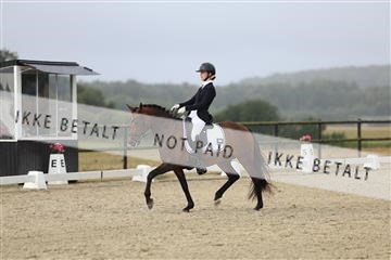181894_mtp_04_R62_3589.JPG
