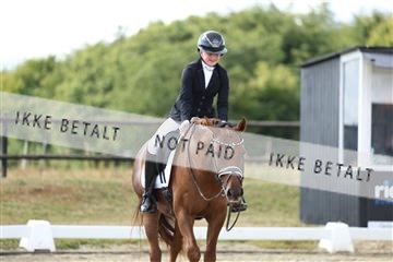 181894_mtp_05_R62_4714.JPG