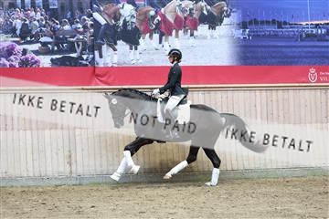 181887_mtp_04_R62_9332.JPG