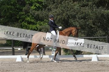 135086_sg_01_IMG_0005.JPG