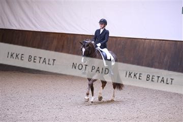 173821_mtp_01_3M5A9181.JPG