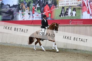 181887_mtp_02_R62_7897.JPG