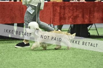 163793_bkn_01__BKN9031.JPG