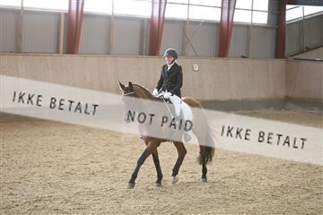 173782_mtp_01_3M5A6987.JPG